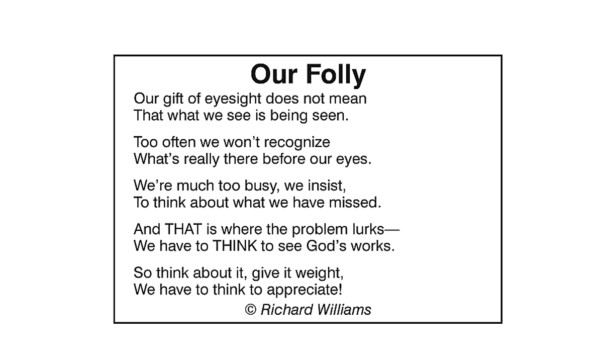 Richard Williams Poem: Our Folly
