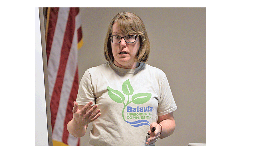Carolyn Burnham, Batavia Environmental Commission (BEC)