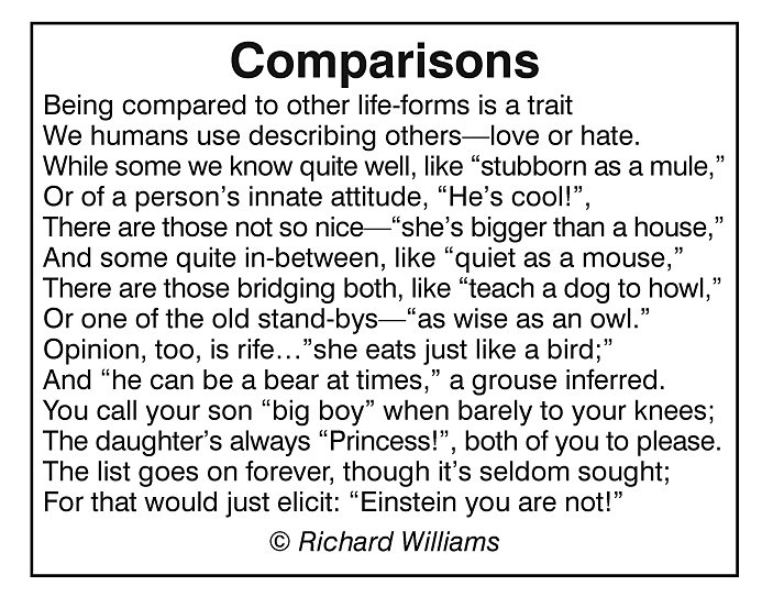 Richard Williams Poem: Comparisons