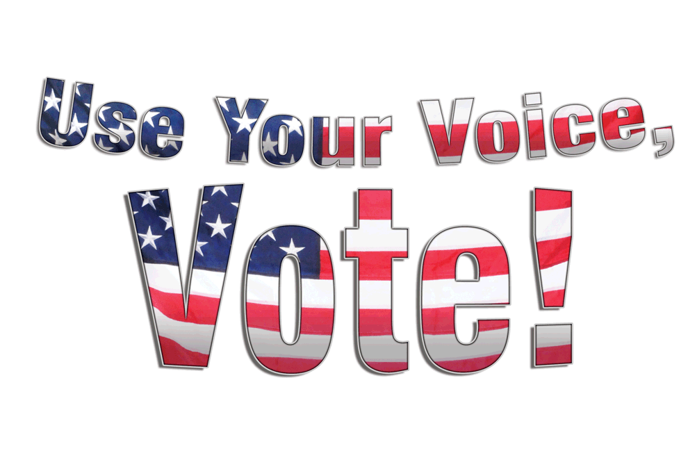 Use Your Voice and Vote!