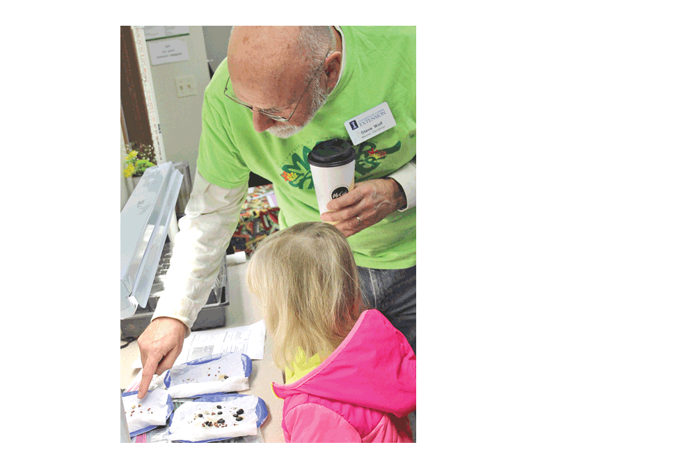 Kendall County master gardener Steve Wolf shows Josephine Breyne of Yorkville how to test germination of seeds Saturday, Feb. 2 in Yorkville. The event allowed community members to share vegetable and flower seeds in the third annual Seed Swap by the University of Illinois Extension in Kendall County. Submitted photo