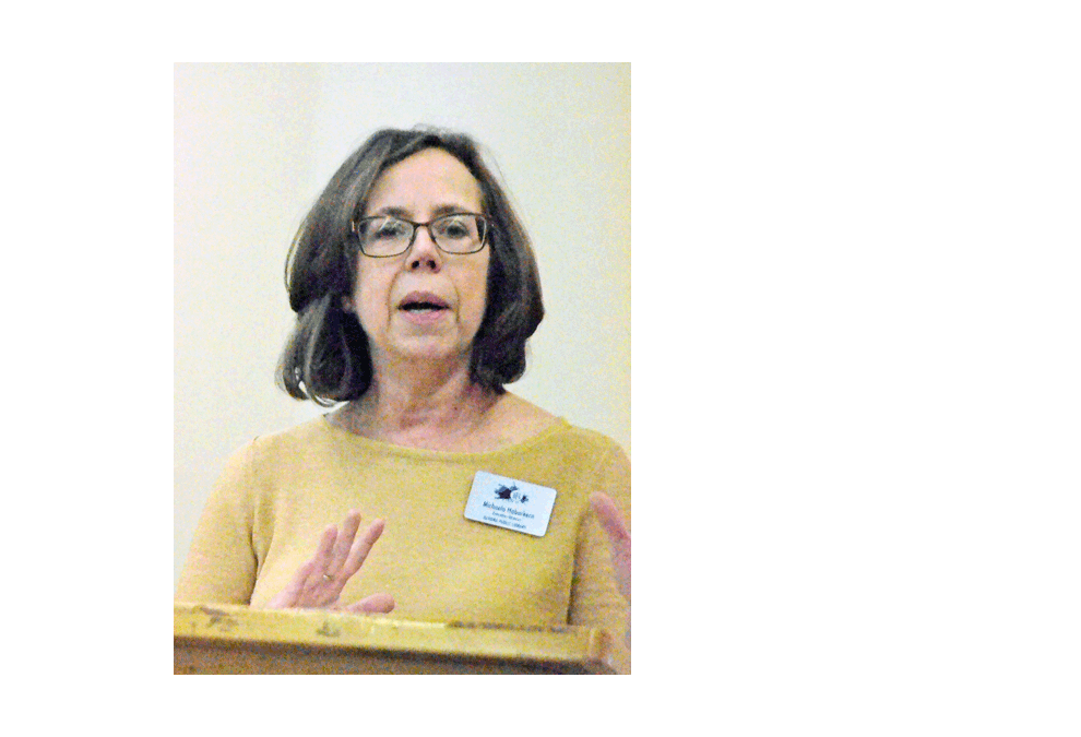 Michaela Haberkern, Aurora Public Library executive director, at Aurora Noon Lions Club membership luncheon