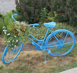 Aurora Bikes in Bloom is around downtown Aurora in many colors.