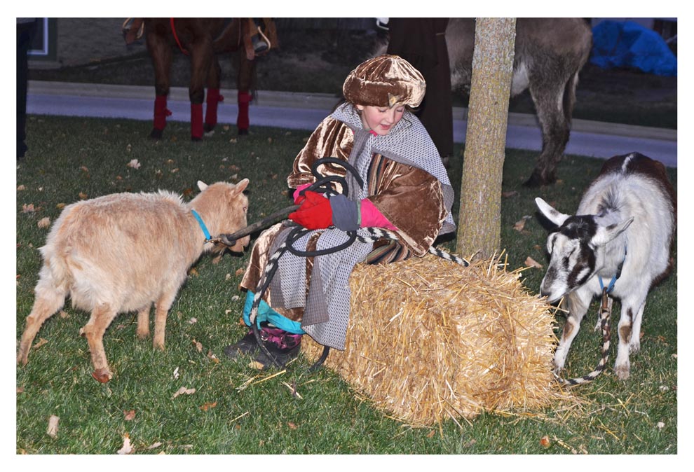 First live nativity at Our Savior Lutheran Church in Aurora The Voice