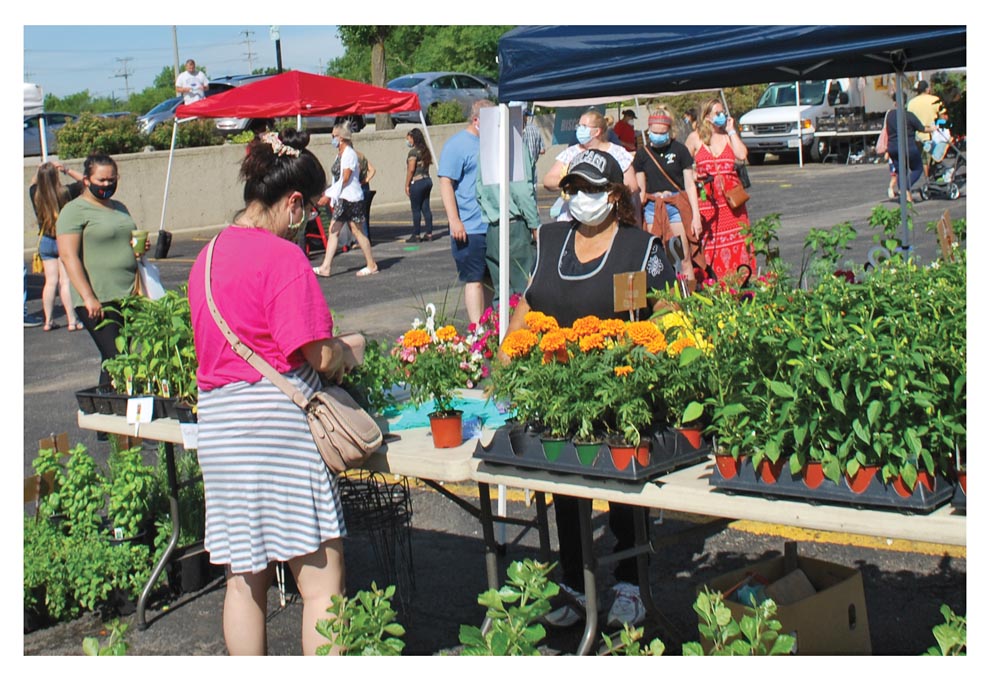 Reopening of Farmers Market in Aurora The Voice