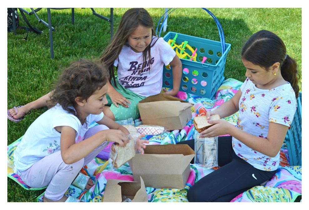 boxed-meals-for-kids-from-northern-illinois-food-bank-s-meals-on-the