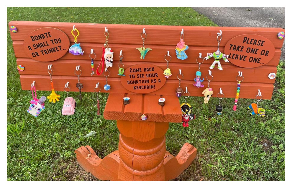 Keychain Library Boulder Hill Keychain Library brings neighbors together – The Voice